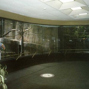 Inside the former elephant house