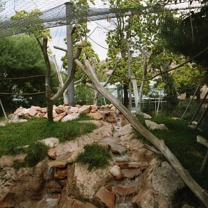 Guereza Outdoor Exhibit Detail