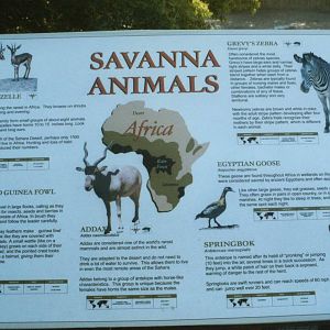African Savannah Exhibit Sign