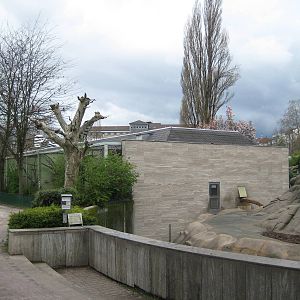 Monkey House with baboon Rock