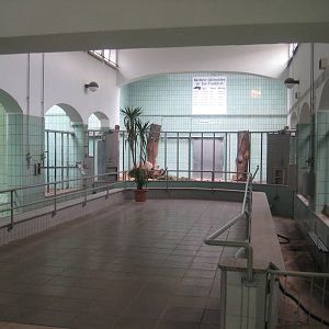 Inside the Rhino House