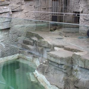 second polar bear enclosure @ Schonbrunn Zoo, Vienna 23.04.08
