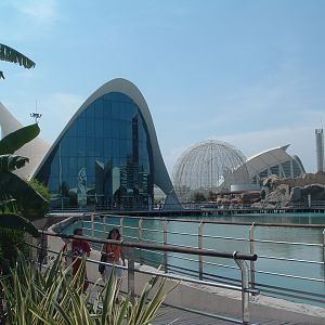 l'Oceanografic Valencia