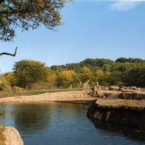 Overview Elephant Exhibit