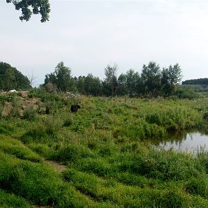 Ree Park - Bear Lake