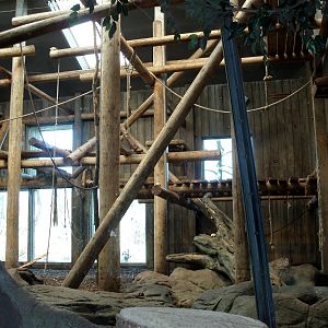 Odense Zoo - Chimpanzee indoor exhibit