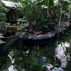 Odense Zoo - Oceanium