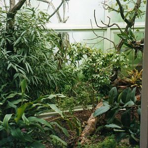 Rusty Spotted cat indoor cage