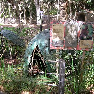 Forest Hut Display 1-19-09