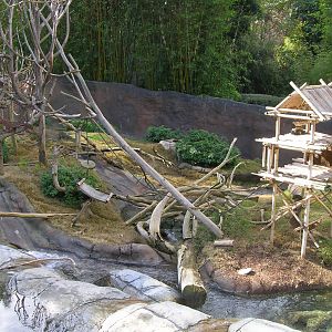 Multiple Species Exhibit 1-19-09