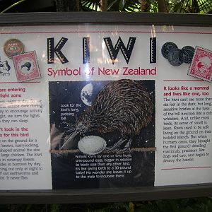 Kiwi Info Board 1-19-09