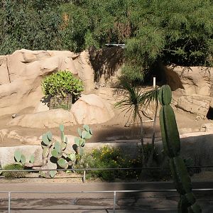 Warthog Exhibit 1-19-09
