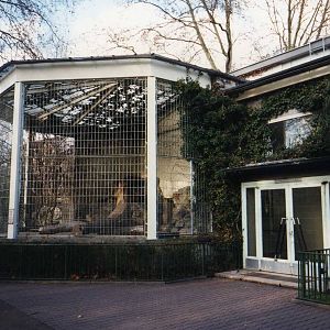 The Lino House with Lion outdoor cage