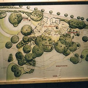 Future plan for the new Cat-Jungle.