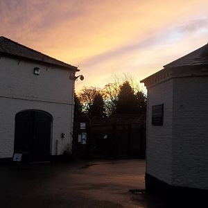 Autumn contrasts I, 23rd November 2014