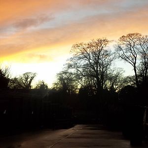 Autumn contrasts II, 23rd November 2014