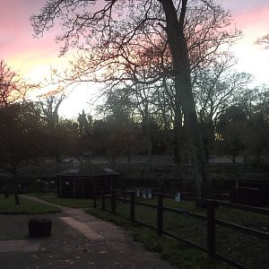 Autumn contrasts III, 23rd November 2014