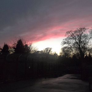 Autumn contrasts IV, 23rd November 2014