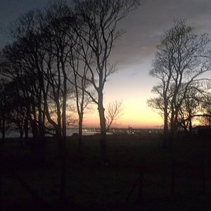 A slightly different view over the clifftop paddocks, 23rd November 2014