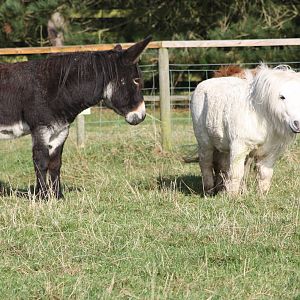 All was well, 16th October 2014