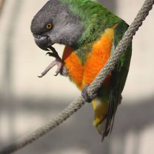 Simon, 16th October 2014