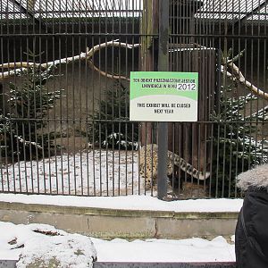 Snow Leopard Cage, January 2012.