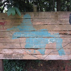 Map of Mpanga Forest