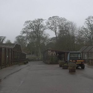 A gloomy afternoon at the zoo I, 28th November 2014