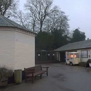 A gloomy afternoon at the zoo II, 28th November 2014