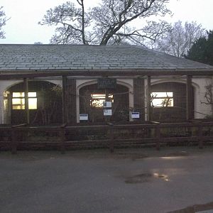 A gloomy afternoon at the zoo III, 28th November 2014