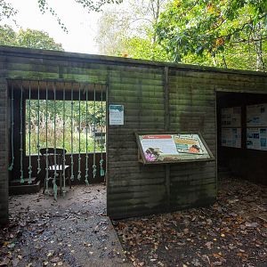 Honey bee (exhibit) : Wildwood : 16 Oct 2014