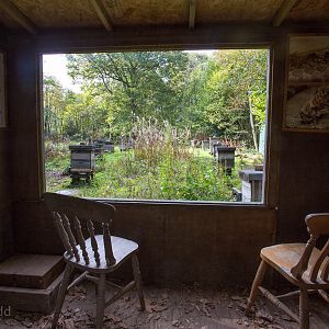 Honey bee (exhibit) : Wildwood : 16 Oct 2014