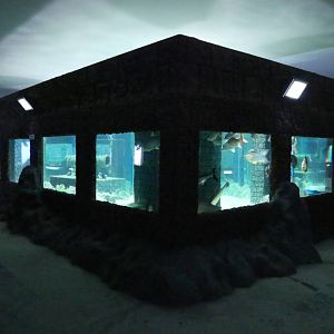 Large Tank of Mekong River Fish