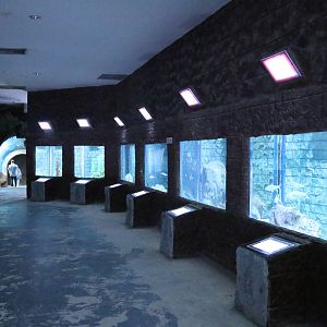 Some of the Upper Floor Tanks