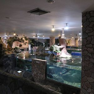 Some of the Ground Floor Tanks