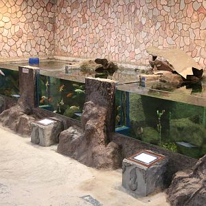 Some of the Ground Floor Tanks