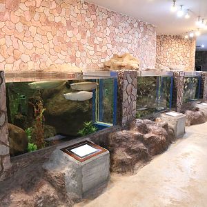 Some of the Ground Floor Tanks