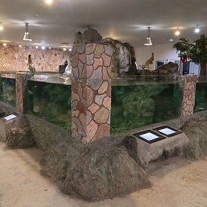 Some of the Ground Floor Tanks