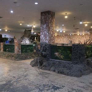 Some of the Ground Floor Tanks