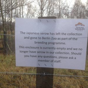 We are a serowless nation