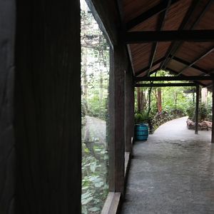 Siamang exhibit viewing corridor