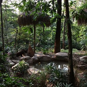 Giant ant-eater outdoor exhibit