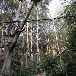 Macaw and parrot exhibit