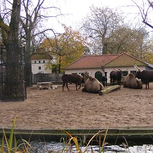 2014-11-22 Artis mixed enclosure