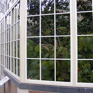 2014-11-22 Artis outdoor aviary