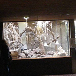 2014-11-22 Artis Fenneks