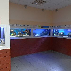 Marine aquaria