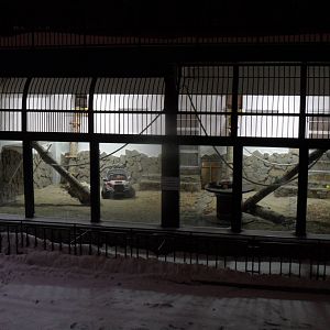 Chimpanzee outdoor exhibit