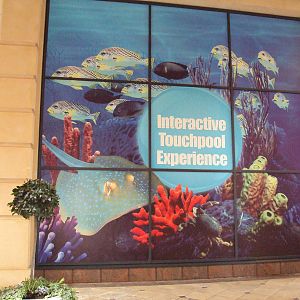 View of display window outside