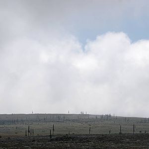Sanetti Plateau, Bale Mountains NP, 15/10/14